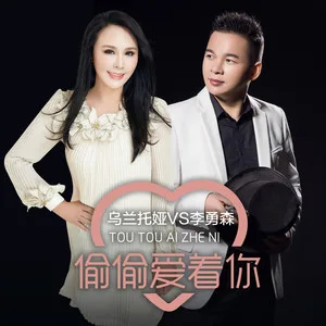 偷偷爱着你(DJ何鹏版)