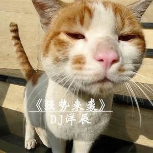 苏荷热播