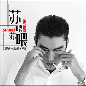 苏喂苏喂(DJ散人版)