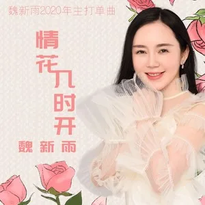 情花几时开(DJ沈念版)