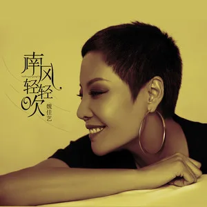 南风轻轻吹(DJ沈念版)