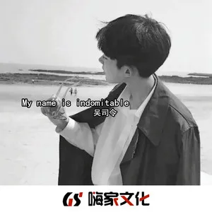 我叫干不倒(DJ版)