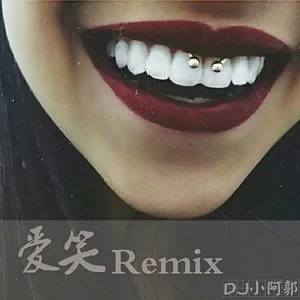 这漆黑孤独的夜晚(DJ版)