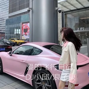 他一定很爱你(DJ版)