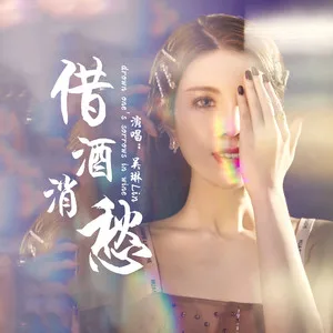 借酒消愁(DJ沈念版)