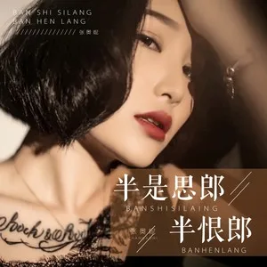 半是思郎半恨郎(DJ版)