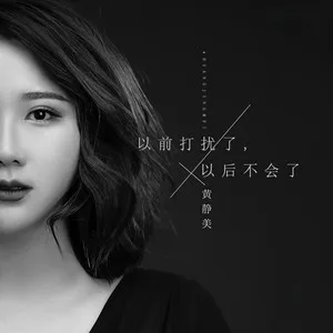 以前打扰了，以后不会了(DJ阿福版)