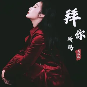 拜你所赐(DJ名龙版)