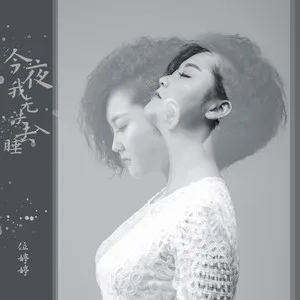 今夜我无法去入睡(DJ版)