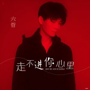 走不进你心里(DJ版)