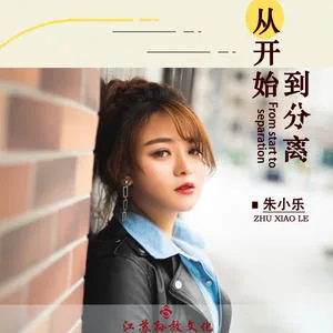 从开始到分离(DJ版)