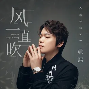 风一直吹(DJ沈念版)