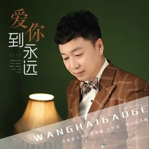 爱你到永远(DJ版)