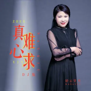 真心难求(DJ版)