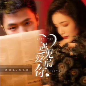 遇见爱的你(DJ可乐版)