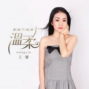 错过了你的温柔(DJ何鹏版)