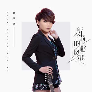 所谓的避风港(DJ默涵版)