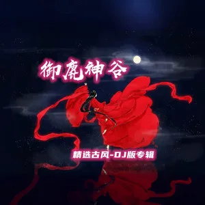 雁归寻春(DJ版)