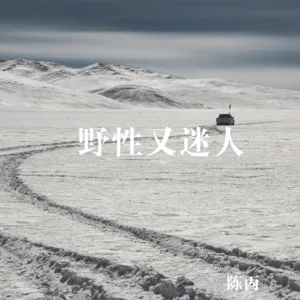 王牌飞行员申请出战