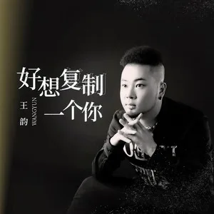 好想复制一个你(DJ沈念版)