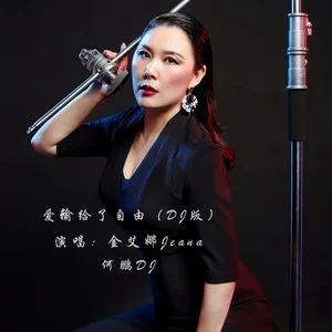 爱输给了自由(DJ何鹏版)