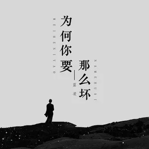 为何你要那么坏(DJ可乐版)