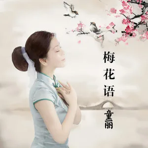 梅花语(DJ酱爆鱿鱼版)