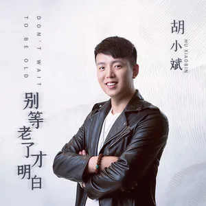 别等老了才明白(DJ何鹏版)