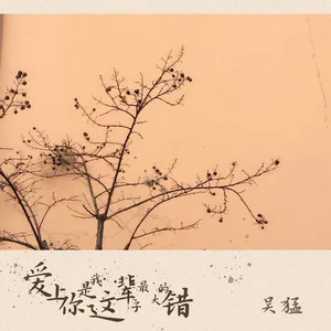 爱上你是我这辈子最大的错(DJ可乐版)