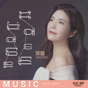 错的是你伤的是我(DJ版)