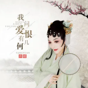 我问爱恨有几何(DJ何鹏版)