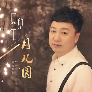 又是一年月儿圆(DJ版)