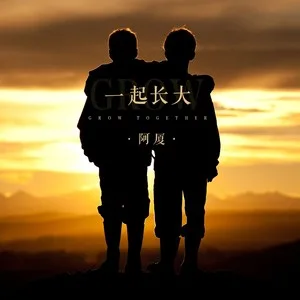 一起长大(DJ王贺版)