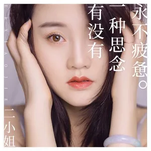 有没有一种思念永不疲惫(DJ何鹏版)