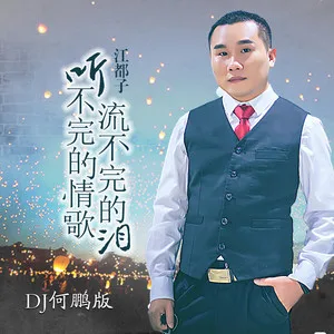 听不完的情歌流不完的泪(DJ何鹏版)