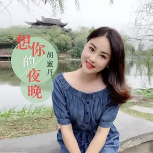 想你的夜晚(DJ何鹏版)