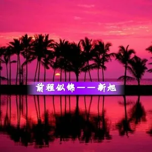 百因必有果你的报应就是我