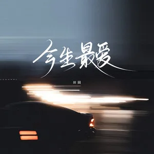 今生最爱(DJ九零版)