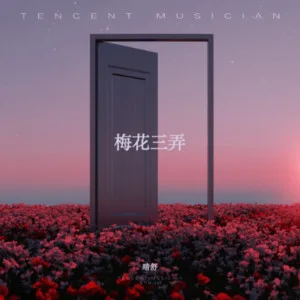 梅花三弄(DJ版)