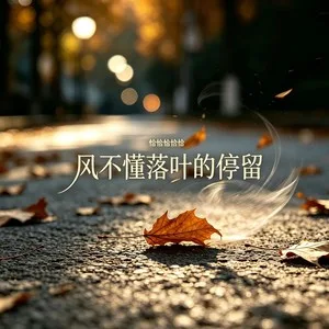 风不懂落叶的停留