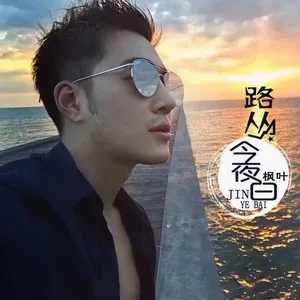 突然好想你(女声DJ版)