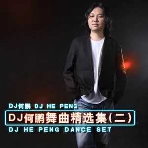 不是因为寂寞才想你(DJ何鹏版)