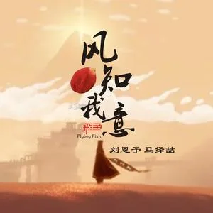风知我意(DJheap九天版)