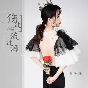 伤过心流过泪(DJ可乐版)