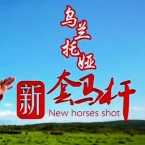 火红的萨日朗