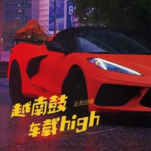 越南鼓车载high(Remix)