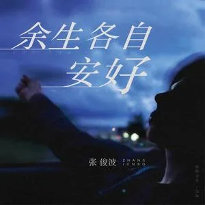 余生各自安好(DJ武圣雄版)