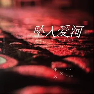 坠入爱河(DJ武圣雄版)
