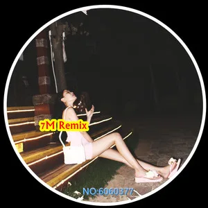 依然越南鼓(DJ版)