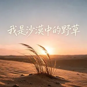 我是沙漠中的野草